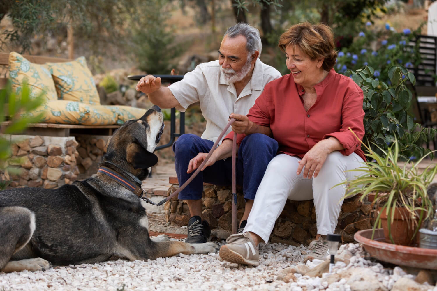 elderly-couple-enjoying-life-home-countryside-with-their-dog (1)